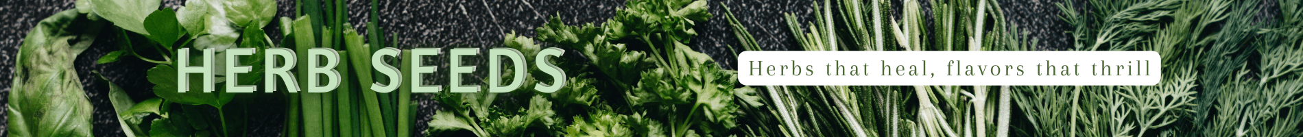 Herb Seeds - Dharaseeds