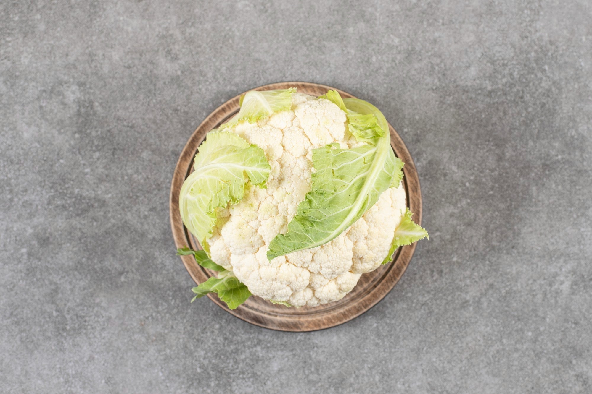 Winter Season - Dharaseeds