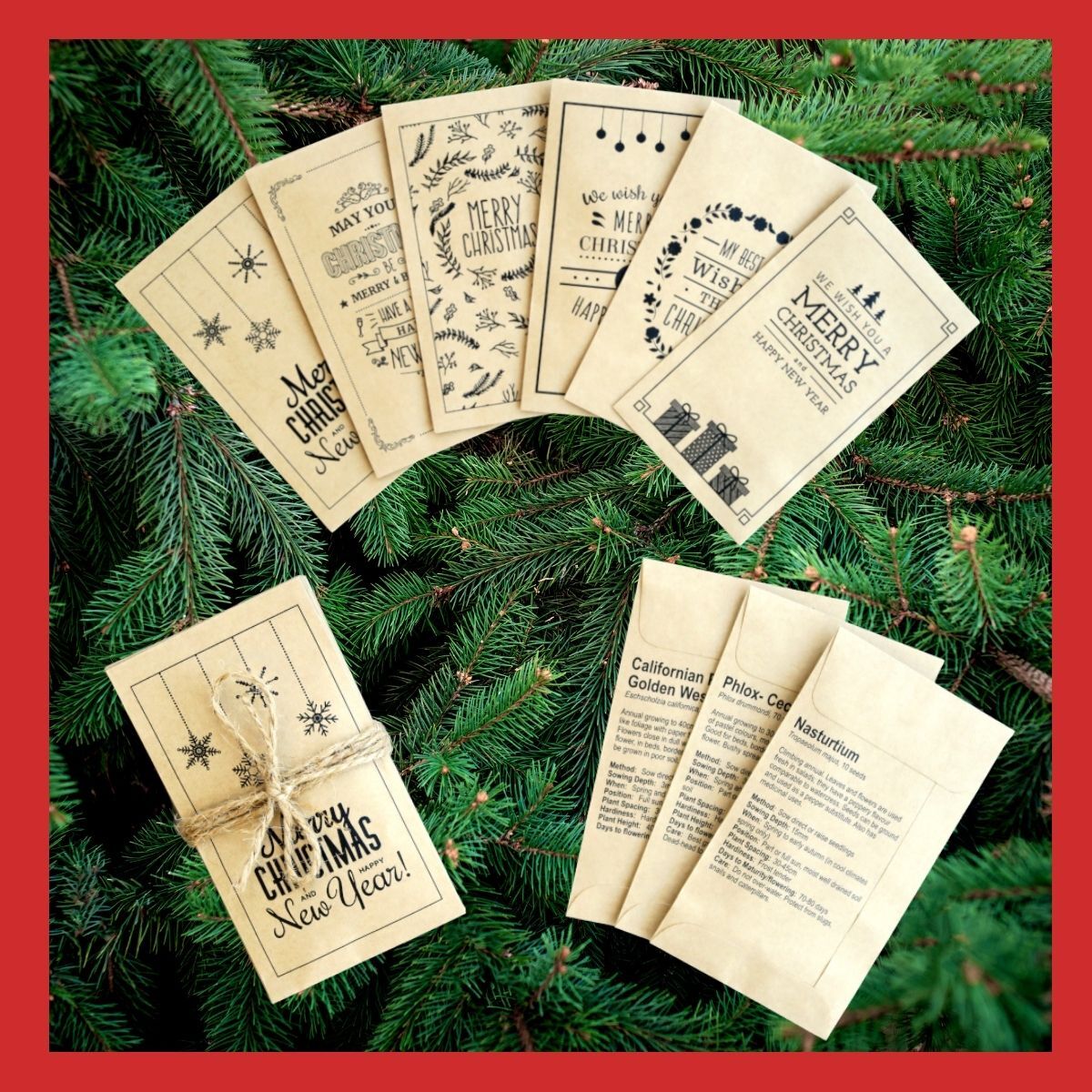 Christmas Seed Bundle - Flowers