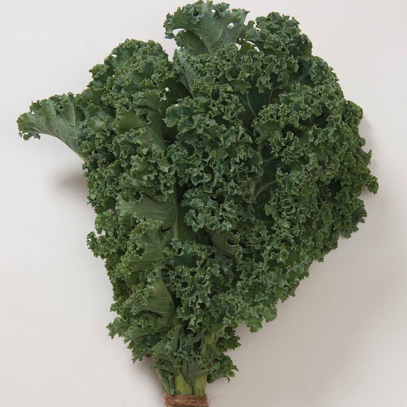 Winterbor Hybrid Kale Seeds | Curly Dark-Green Winter Hardy Kale – Heirloom, Non-GMO, High Germination Organic Garden Seeds