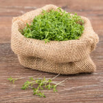 Sprouting Watercress Seeds High Germination Garden Seeds heirloom non-gmo seeds