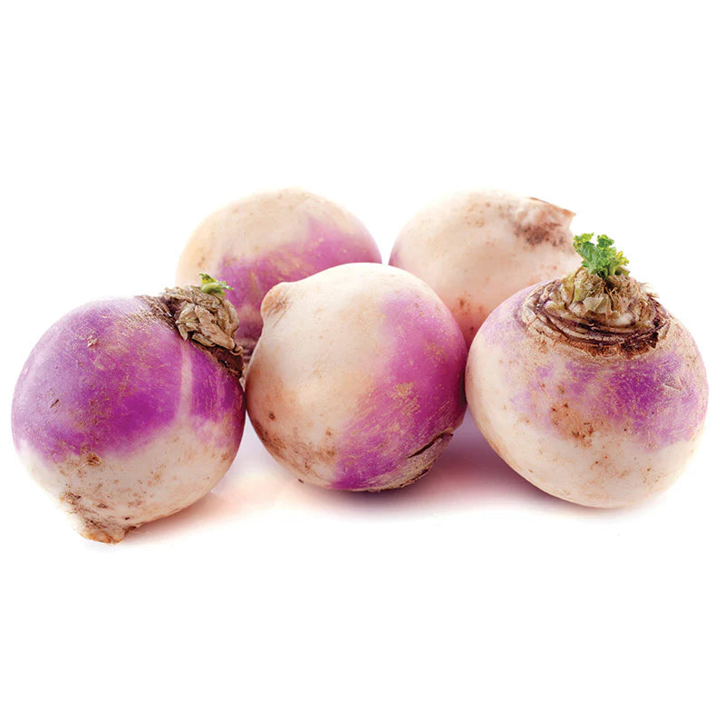 Rutabaga 'American Purple Top' Seeds for Garden and Container Planting