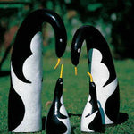 Penguin Gourd Seeds High Germination Garden Seeds heirloom non-gmo seeds