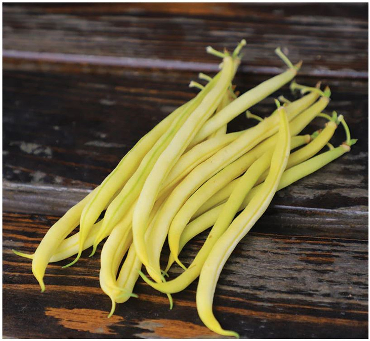 Rocdor Bush Bean Seeds Heirloom Non-GMO High Germination Organic Garden Seeds