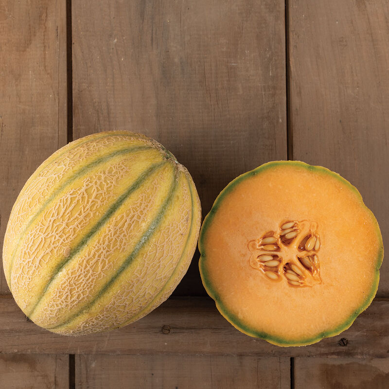 Milan Melon Seed