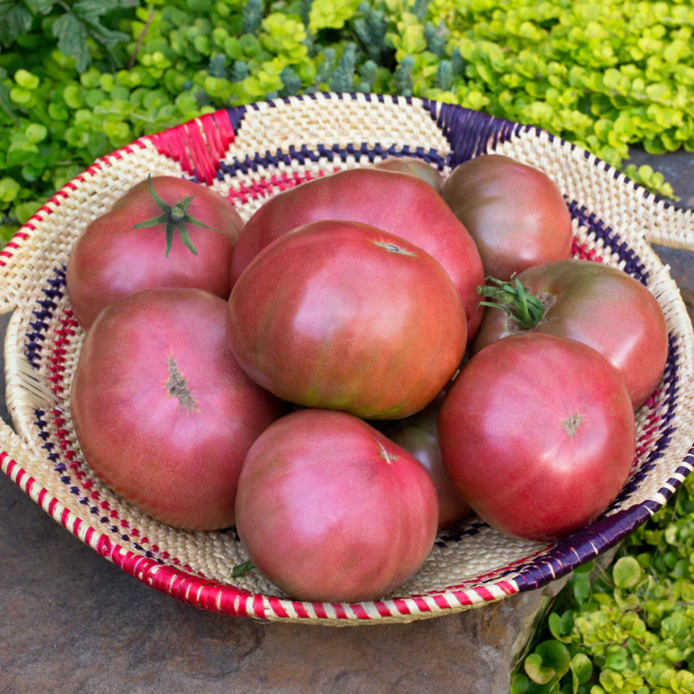 Cherokee Purple Tomato Seeds – Heirloom Tomatoes with Deep Color and Rich Taste