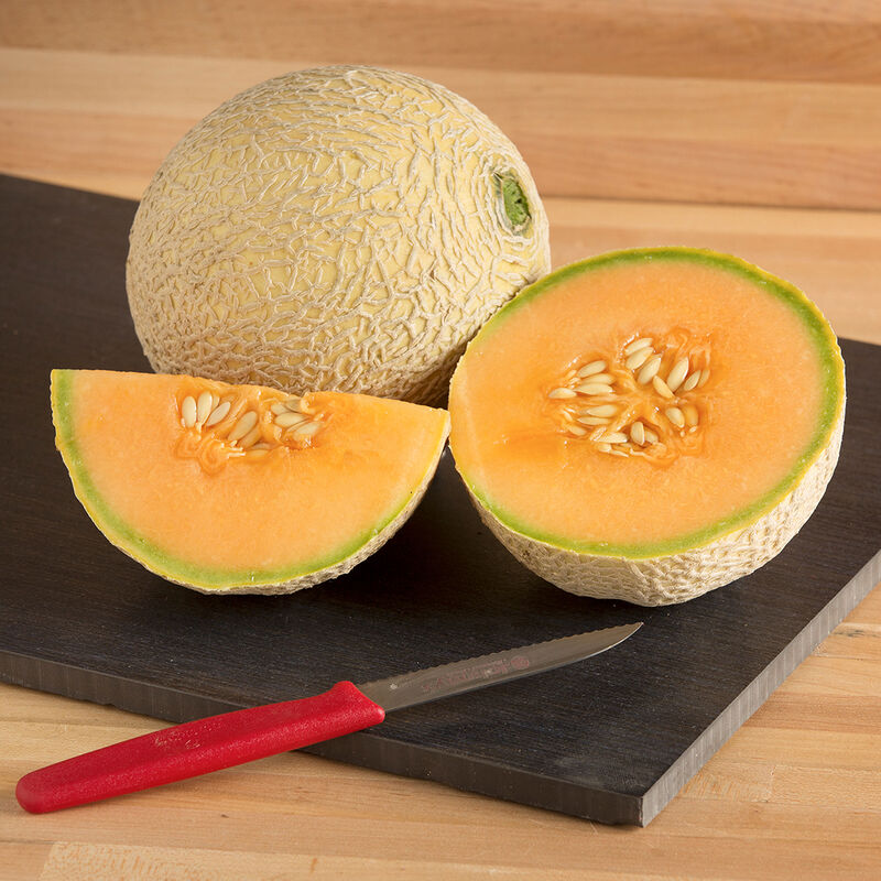 Sugar Cube Melon Seed