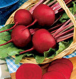 Red Cloud Hybrid Beet Seeds Smooth Round Deep-Red Beets High Germination Garden Seeds heirloom non-gmo seeds