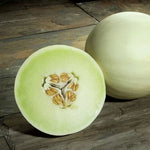 Snow Mass Honeydew Melon Seeds High Germination Garden Seeds heirloom non-gmo seeds