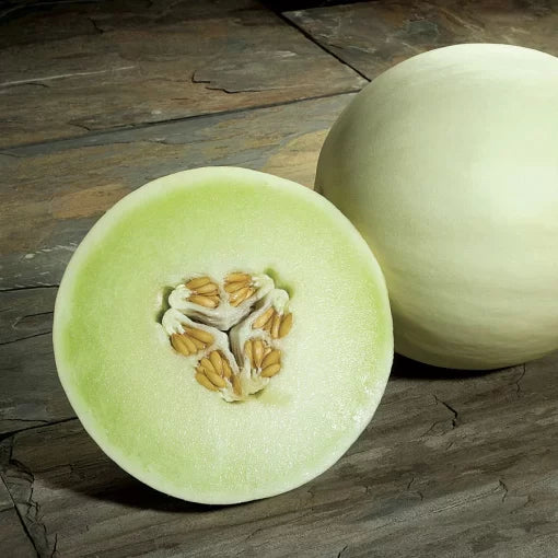 Snow Mass Honeydew Melon Seeds High Germination Garden Seeds heirloom non-gmo seeds