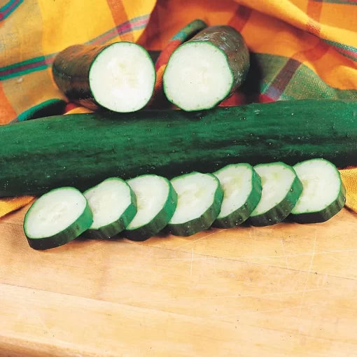 Park s All-Season Burpless Hybrid Cucumber Seeds Smooth Sweet Burpless Cucumbers High Germination Garden Seeds heirloom non-gmo seeds