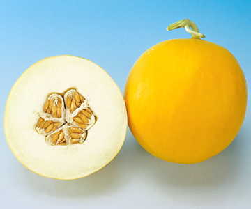 Amy Hybrid Melon Seeds Smooth-Rind Sweet Early Melons High Germination Garden Seeds heirloom non-gmo seeds