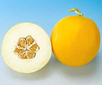 Amy Hybrid Melon Seeds Smooth-Rind Sweet Early Melons High Germination Garden Seeds heirloom non-gmo seeds