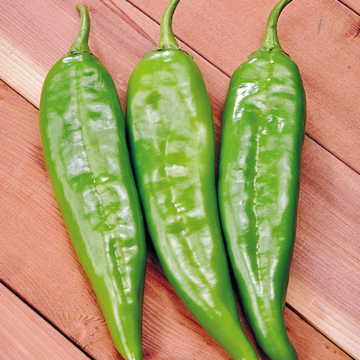 Sahuaro Pepper Seeds High Germination Garden Seeds heirloom non-gmo seeds