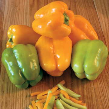 Flavorburst Pepper Seeds High Germination Garden Seeds heirloom non-gmo seeds