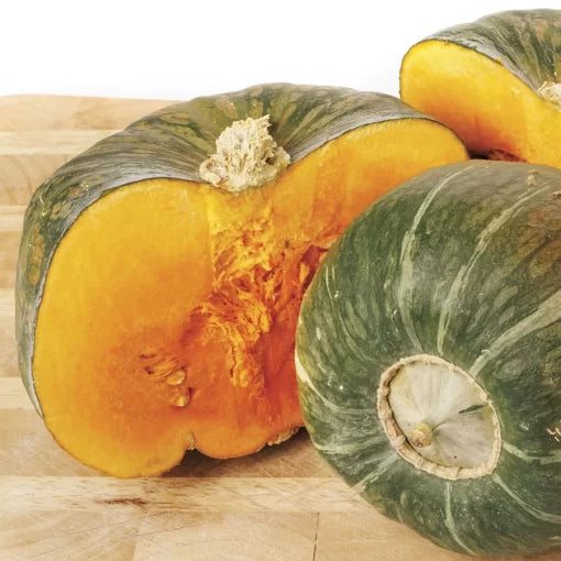 Bonbon Hybrid Squash Seeds Award-Winning Buttercup Winter Squash High Germination Garden Seeds heirloom non-gmo seeds