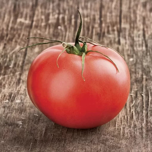 Beefmaster Hybrid Tomato Seeds Large Juicy Meaty Beefsteak Tomatoes High Germination Garden Seeds heirloom non-gmo seeds