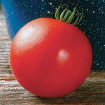 Mountain Plus Hybrid Tomato Seeds Large Firm Market-Quality Slicers High Germination Garden Seeds heirloom non-gmo seeds