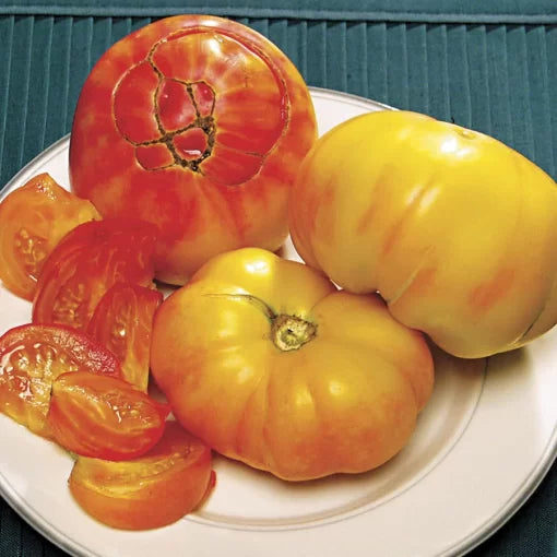 Pineapple Tomato Seeds High Germination Garden Seeds heirloom non-gmo seeds