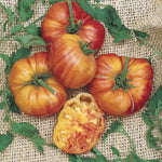 Big Rainbow Tomato Seeds High Germination Garden Seeds heirloom non-gmo seeds