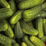 National Pickling Cucumber Seeds High Germination Garden Seeds heirloom non-gmo seeds
