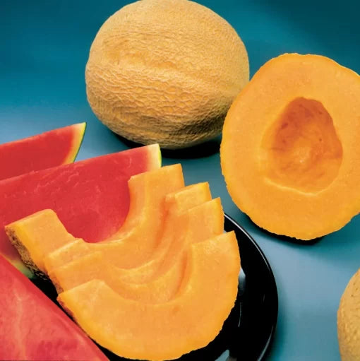 Whopper Hybrid Cantaloupe Seeds Large Sweet High-Yield Melons High Germination Garden Seeds heirloom non-gmo seeds