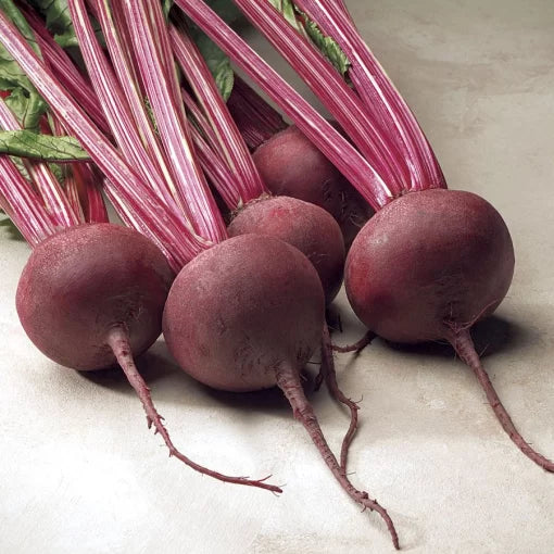 Red Ace Hybrid Beet Seeds Smooth Round Deep-Crimson Beets High Germination Garden Seeds heirloom non-gmo seeds