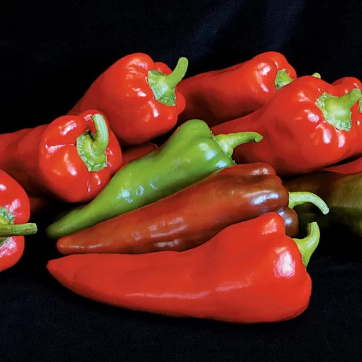 Carmen Hybrid Pepper Seeds Long Sweet Italian Frying Peppers High Germination Garden Seeds heirloom non-gmo seeds
