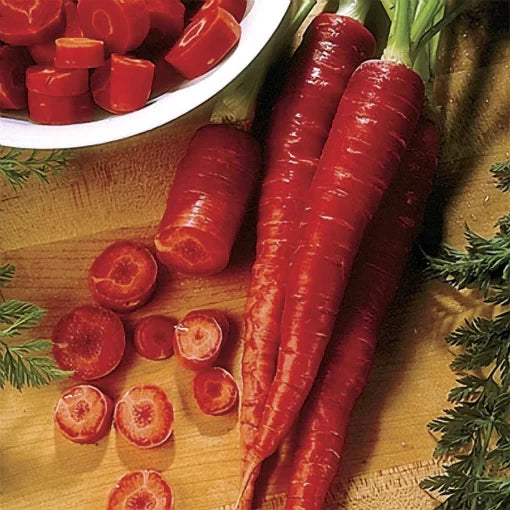 Atomic Red Carrot Seeds High Germination Garden Seeds heirloom non-gmo seeds