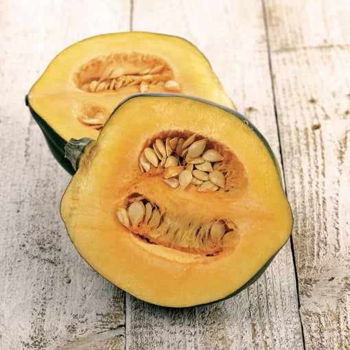 Honey Bear Acorn Squash Seeds Small Sweet Nutty Acorn Squash High Germination Garden Seeds heirloom non-gmo seeds