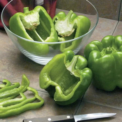 Linebacker Pepper Seeds High Germination Garden Seeds heirloom non-gmo seeds