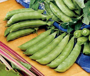 Sugar Sprint Pea Seeds Early Stringless Sweet Snap Peas High Germination Garden Seeds heirloom non-gmo seeds