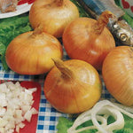 Walla Walla Sweet Onion Seeds High Germination Garden Seeds heirloom non-gmo seeds