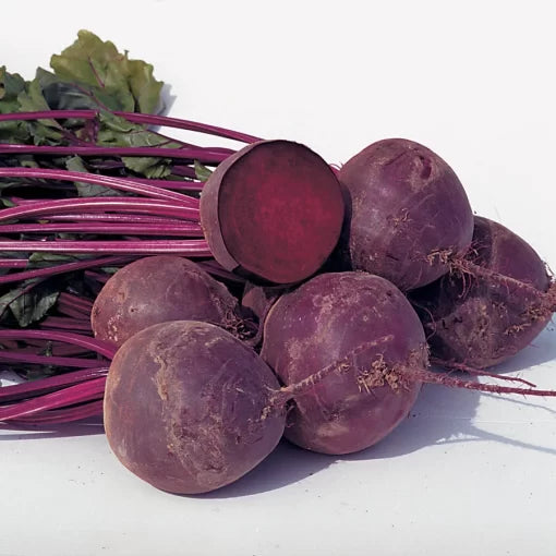 Boro Hybrid Beet Seeds Smooth Red Storage Beets High Germination Garden Seeds heirloom non-gmo seeds
