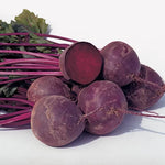 Boro Hybrid Beet Seeds Smooth Red Storage Beets High Germination Garden Seeds heirloom non-gmo seeds