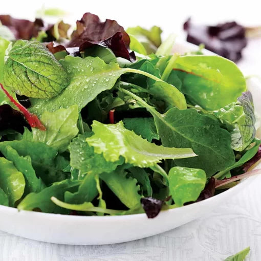 Salad Bowl Mix Greens Seeds High Germination Garden Seeds heirloom non-gmo seeds