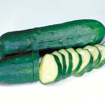 Marketmore Select Cucumber Seeds Dark Green Straight Slicing Cucumbers High Germination Garden Seeds heirloom non-gmo seeds