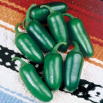 Early Jalapeño Pepper Seeds High Germination Garden Seeds heirloom non-gmo seeds