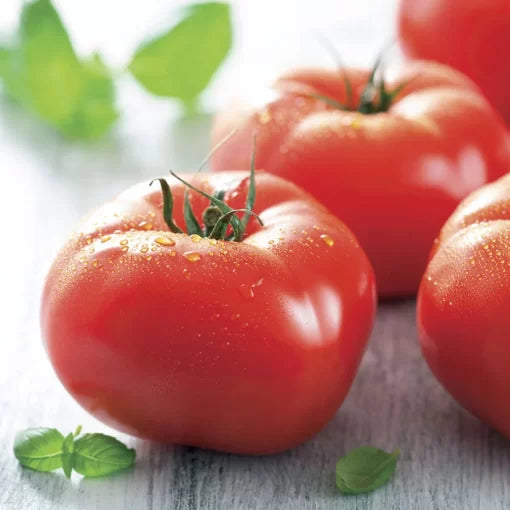 Mater Sandwich Hybrid Tomato Seeds Large Juicy Sandwich Tomatoes High Germination Garden Seeds heirloom non-gmo seeds