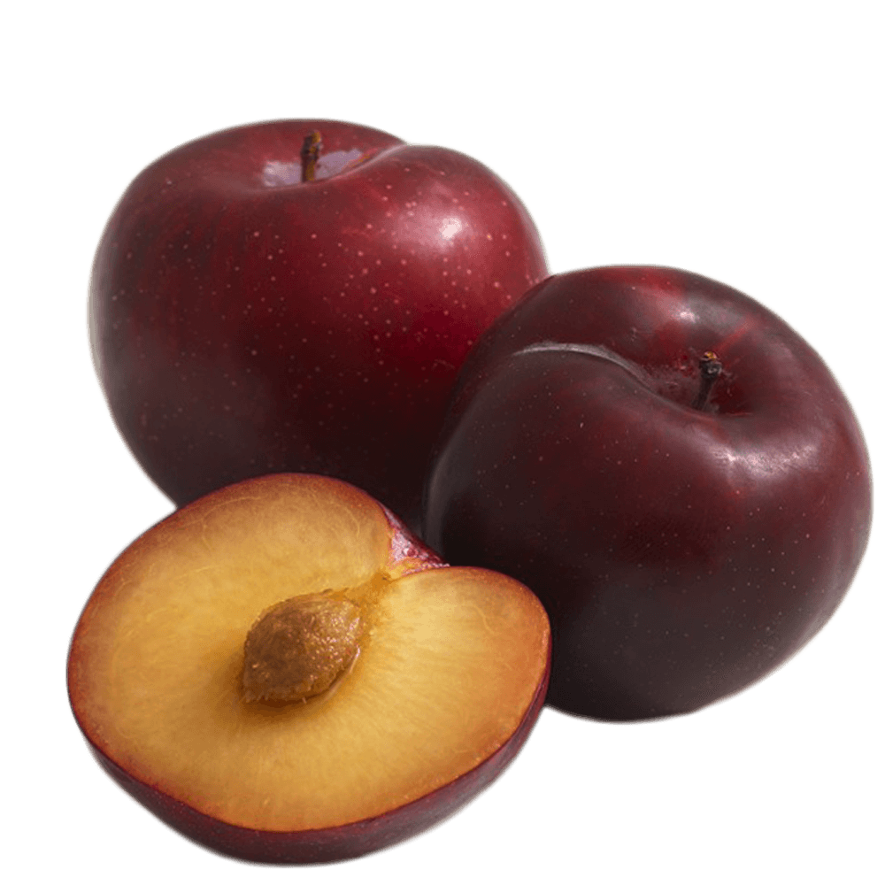 Plum (Prunus domestica) – Sweet and Juicy Stone Fruit