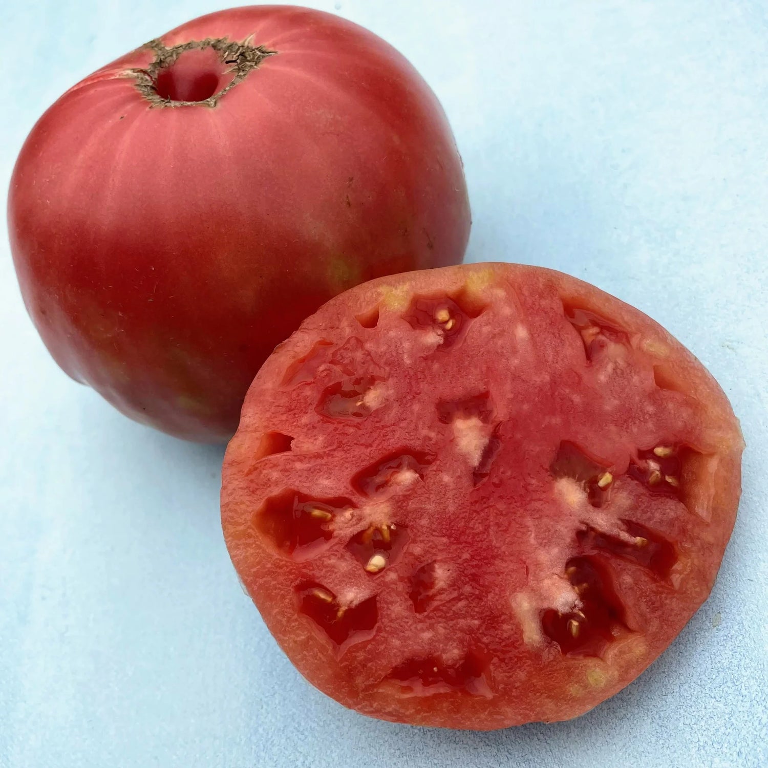 Junior Whopper Pink Hybrid Tomato Seeds | Compact Early Pink Slicing Tomatoes – Heirloom, Non-GMO, High Germination Organic Garden Seeds