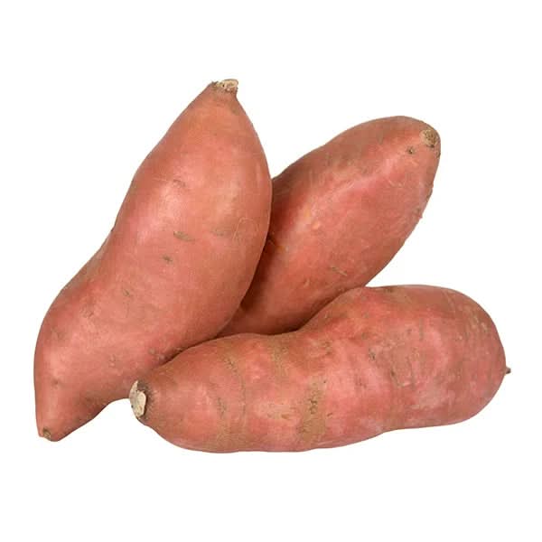 Giant Sweet Potato Vegetable Seeds for Planting – Heirloom, Non-GMO, High-Yielding Seeds
