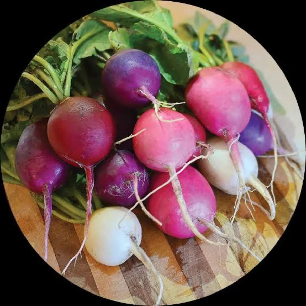 Easter Egg Blend Radish Seeds Heirloom Non-GMO High Germination Organic Garden Seeds