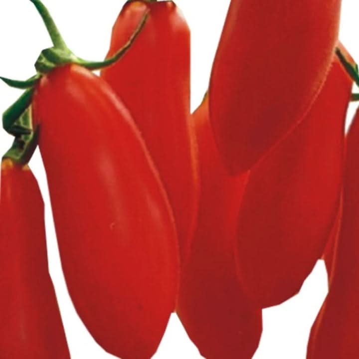 Red Banana Tomato Seeds for Planting - heirloom & Non GMO Seeds