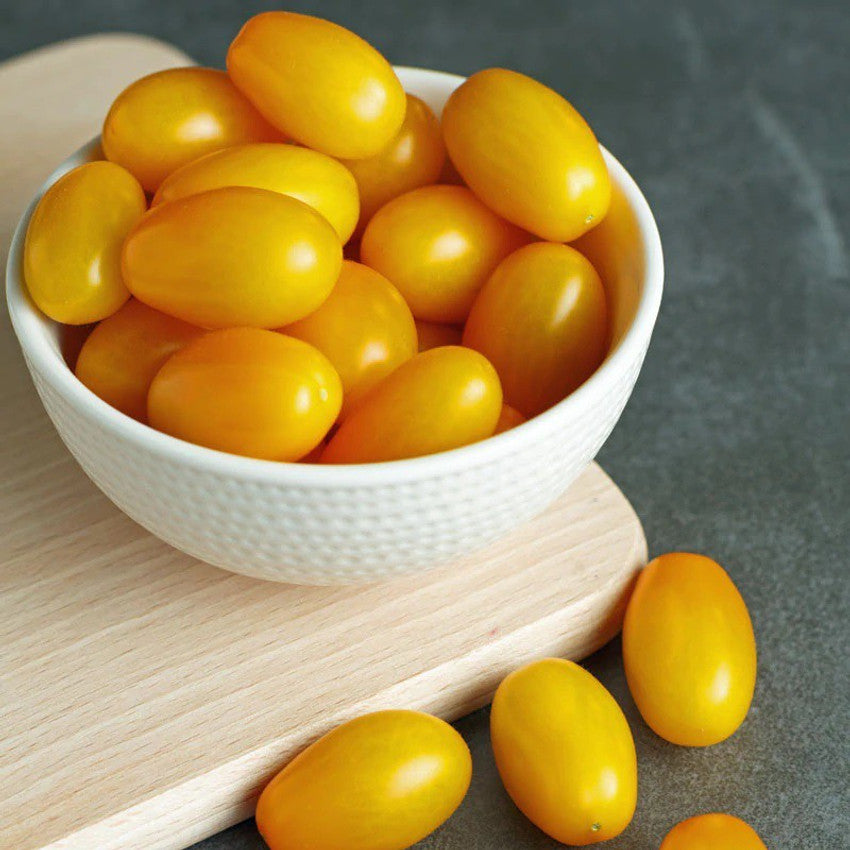 Tomato Sosulechka Solanum lycopersicum vegetable seeds for planting in backyard gardening