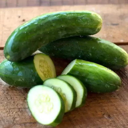 Cucumber Seeds - Diva