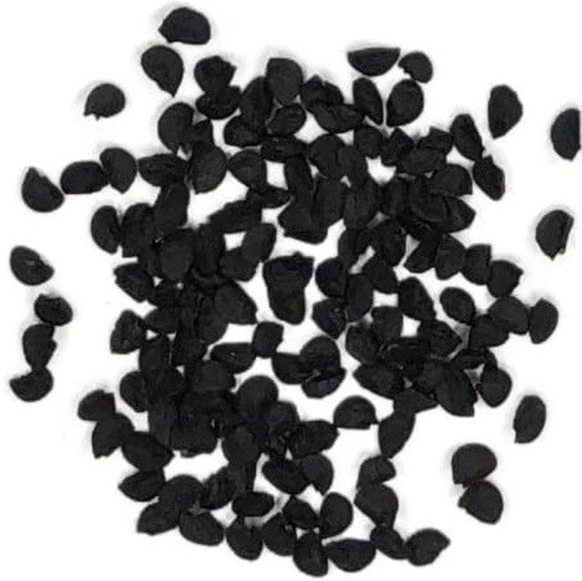 Onion Red Bull Allium cepa vegetable seeds for planting in backyard garden or kitchen garden