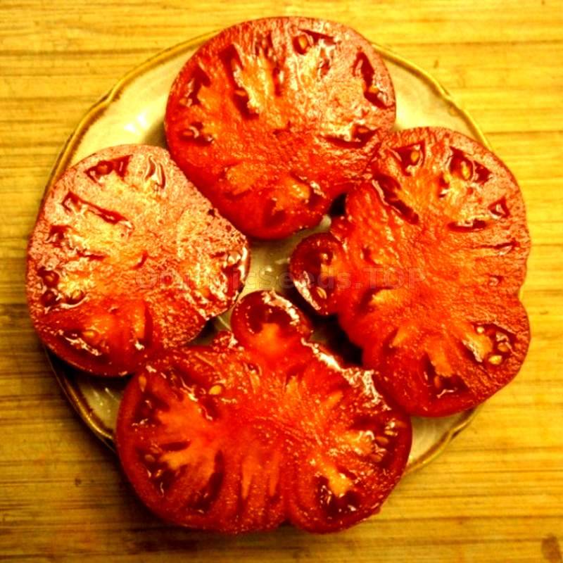 German Mammoth Bi-Color Tomato Seeds for Garden and Container Planting