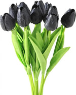 Black Tulip Flower Seeds for Planting – Heirloom, Non-GMO, Unique Dark Blooms Dhara Seeds