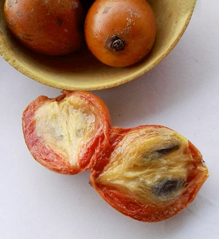 Udara Fruit (Spondias mombin) - Exotic Sweet and Tart Tropical Delight